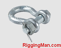 BOLT TYPE SAFETY ANCHOR SHACKLE U.S TYPE,drop forged